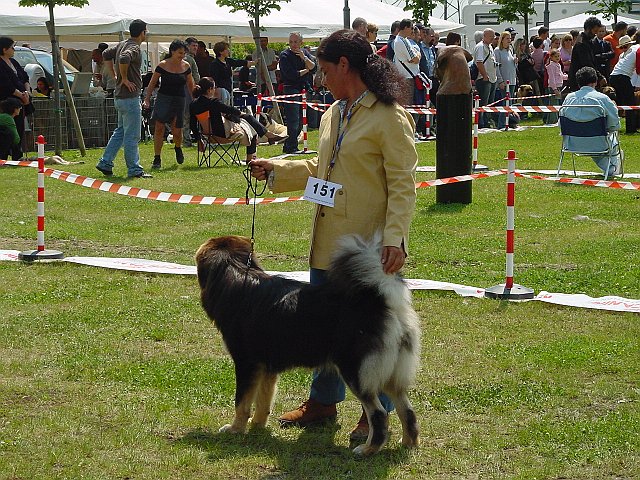 Immagine 078.jpg